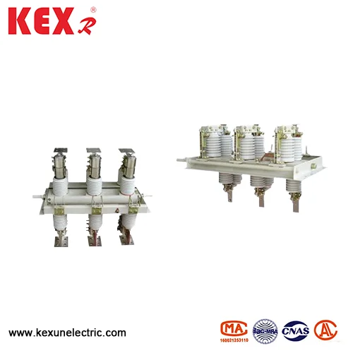 GN30 Tipo de desconexão rotativo interno